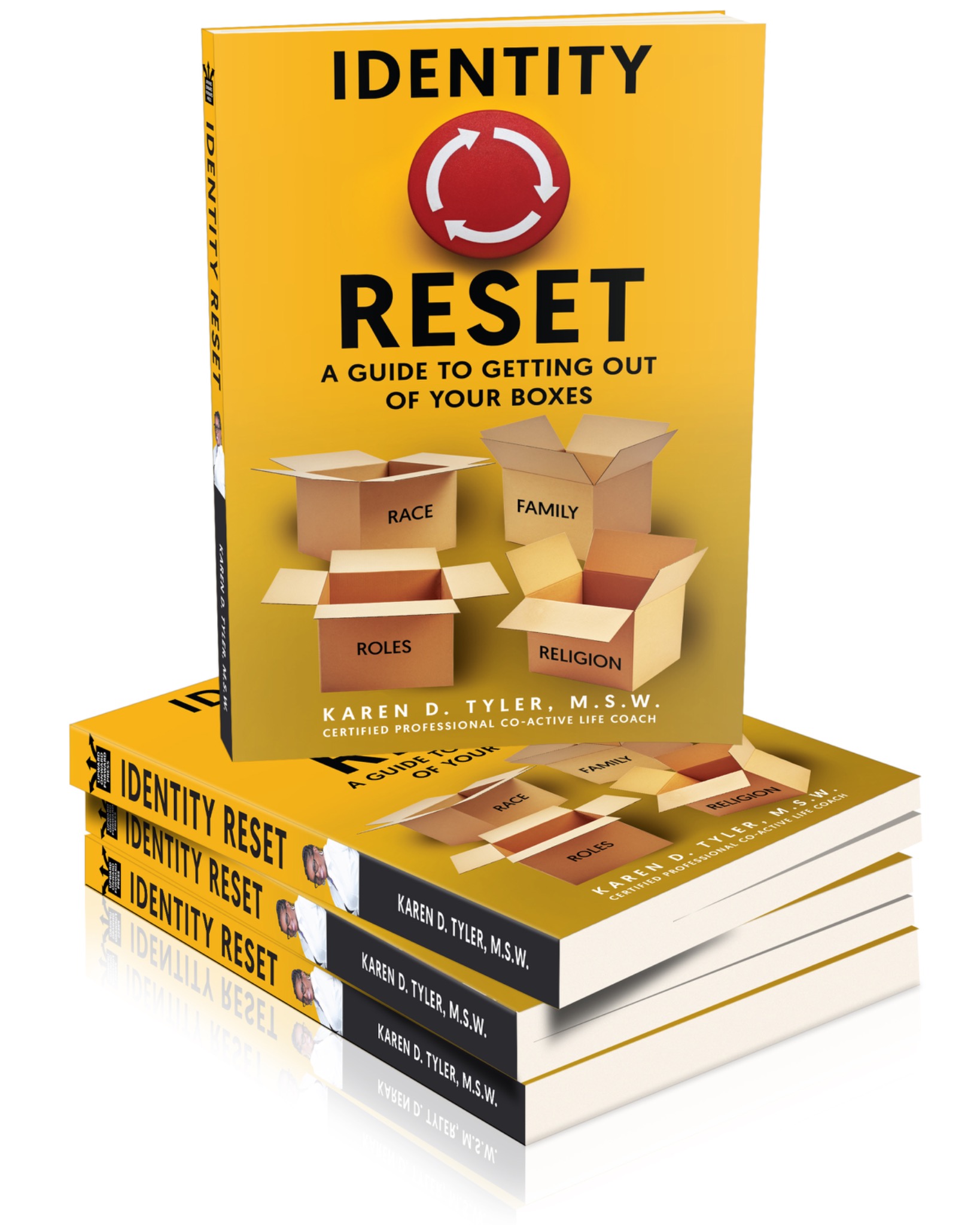 Identity Reset book by Karen D. Tyler